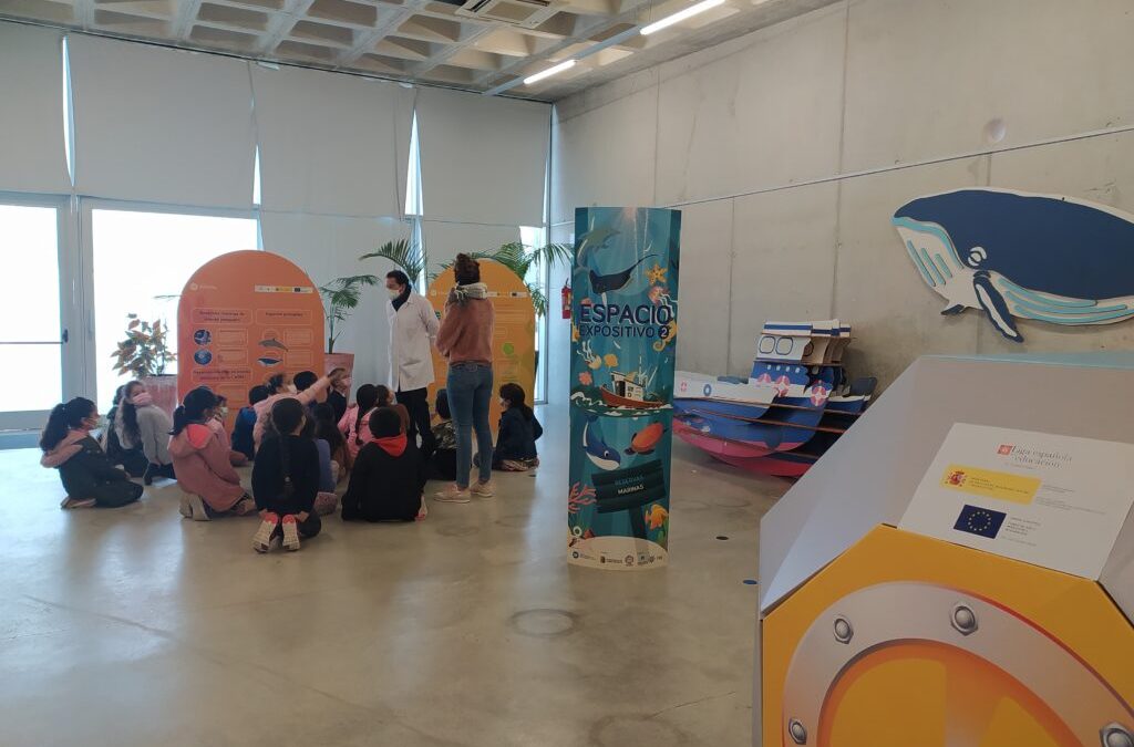 Visita a la biblioteca de Torre Pacheco, Murcia