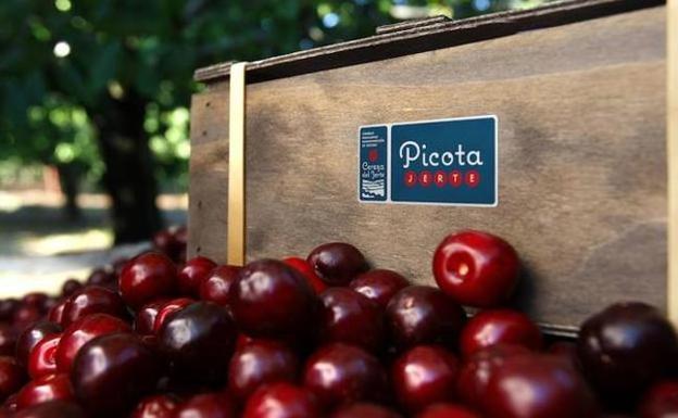 Cereza, la perla roja extremeña