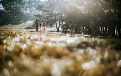 Cuatro actividades en familia para fortalecer el apego