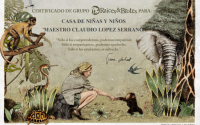 Nuestro compriso verde en Maestro Claudio: proyecto ‘Raíces y brotes’